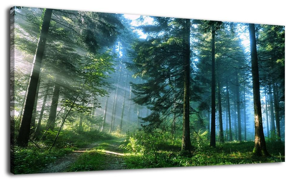 Green Forest Wall Art Landscape Morning Canvas Pictures Large Modern Green Trees Canvas Artwork for Living Room