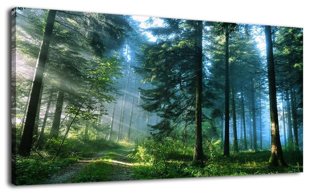 Green Forest Wall Art Landscape Morning Canvas Pictures Large Modern Green Trees Canvas Artwork for Living Room