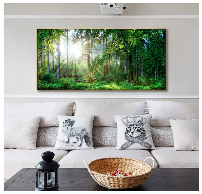 Framed Canvas Wall Art for Living Room Green Forest Landscape Sunshine Over Forest Photograph Printed on Canvas for Home Bedroom